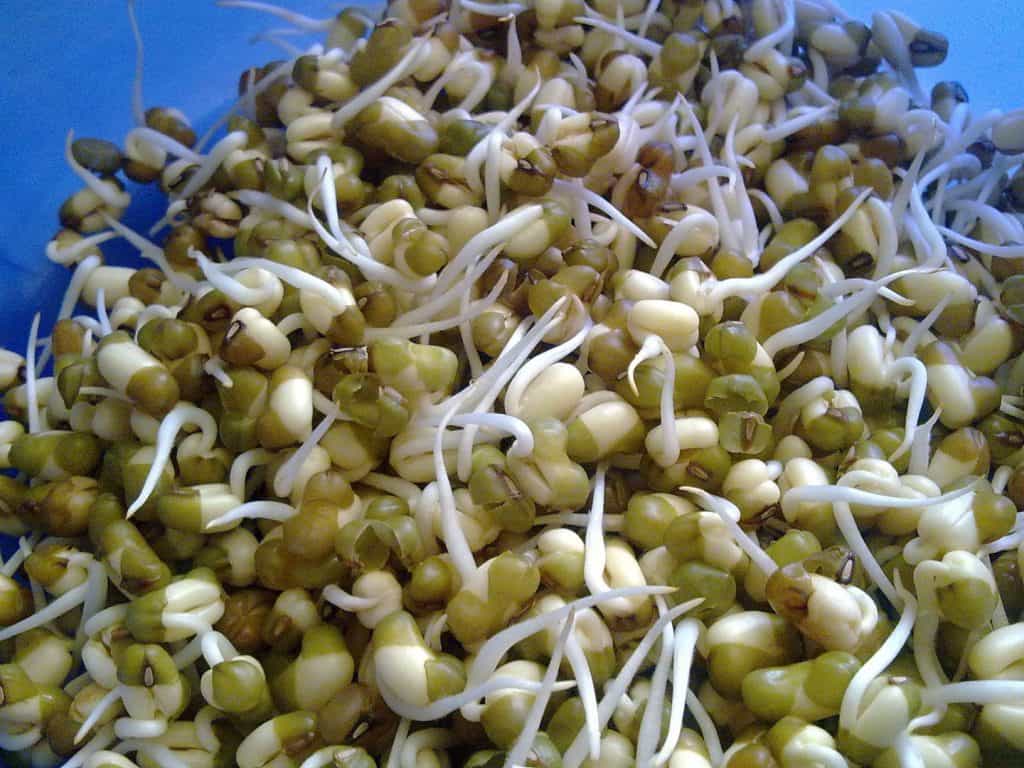 Alimentos de soja