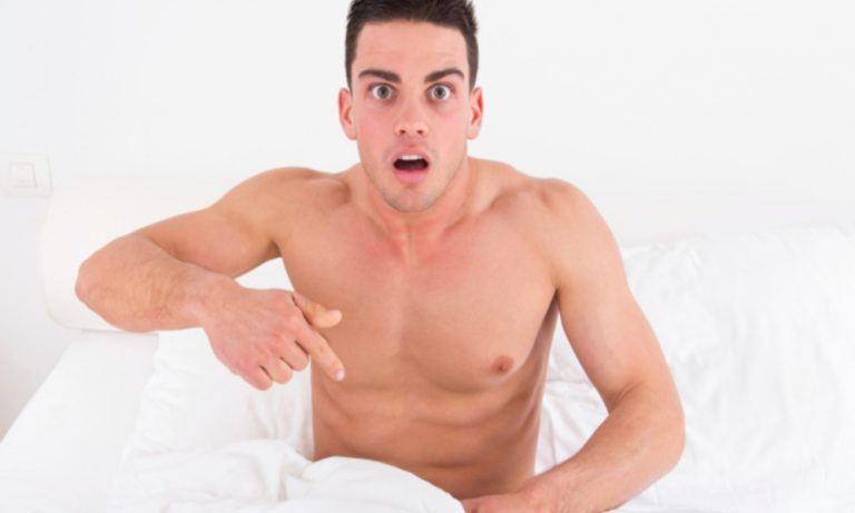 Curiosidades sobre el pene