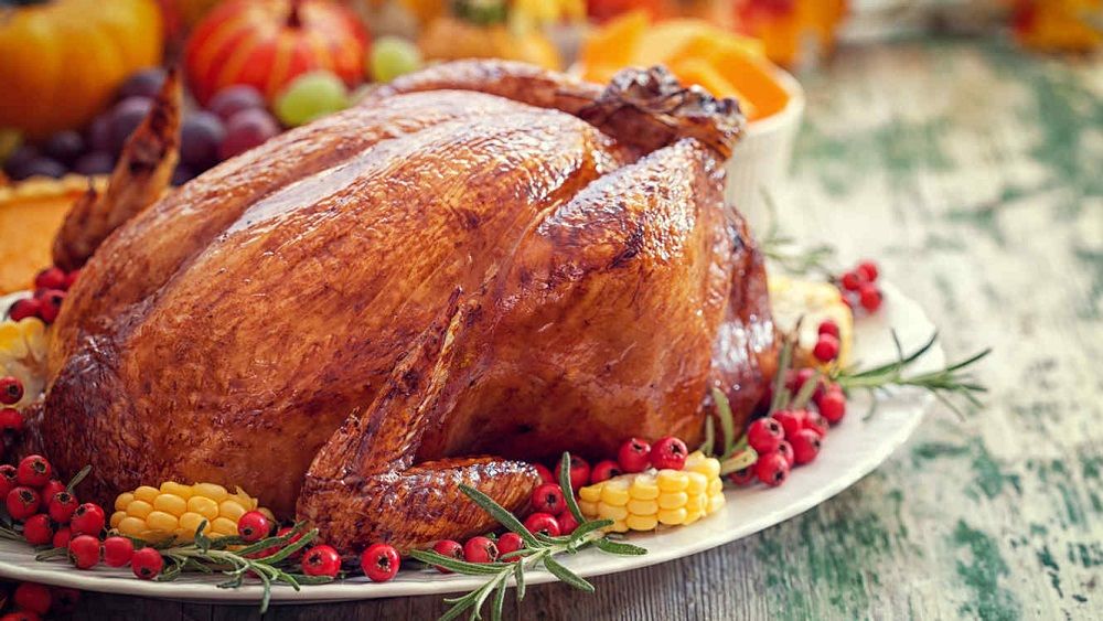 pavo