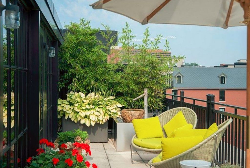 decorar terraza