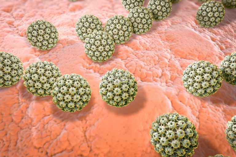 contagio del virus del papiloma humano