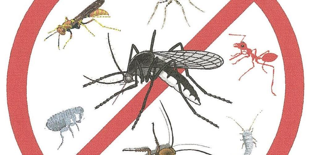 Repelentes de mosquitos efectivos