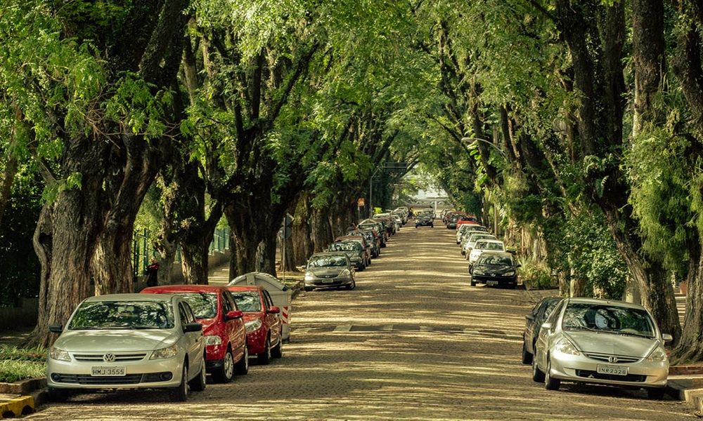 Rua Goncalo de Carvalho