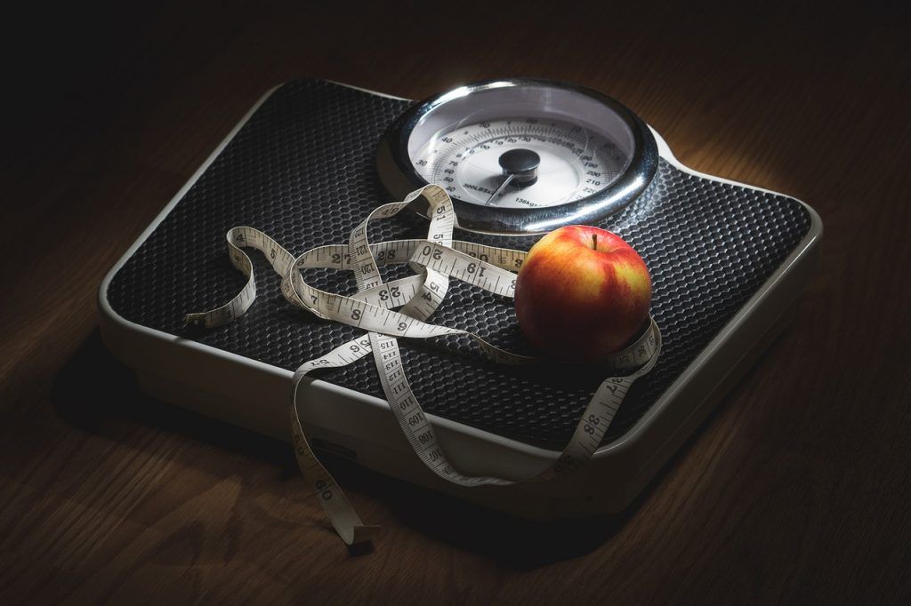 La obesidad y metabolismo 