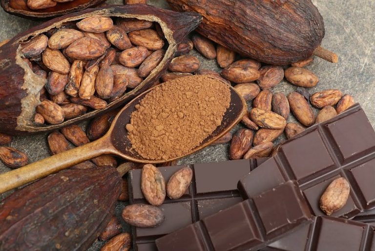 Beneficios del cacao