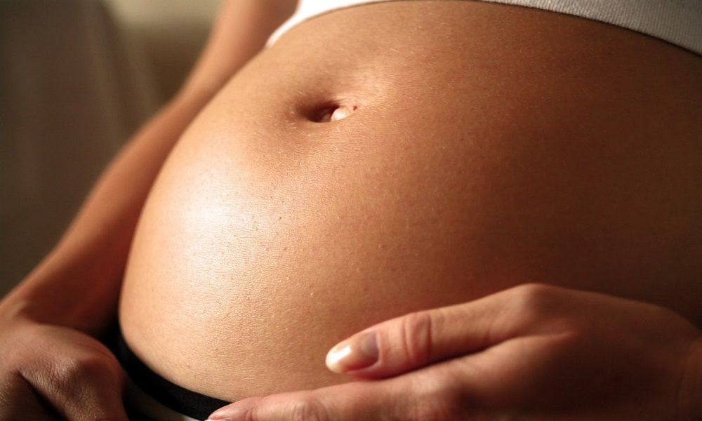 Cuarto mes de embarazo: la placenta completa su formación Cuarto mes de embarazo: la placenta completa su formación