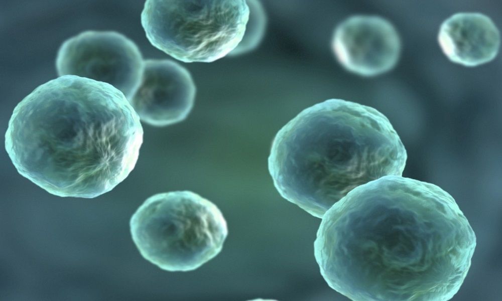 Congelación del cordón umbilical ¿Inversión o gasto innecesario?