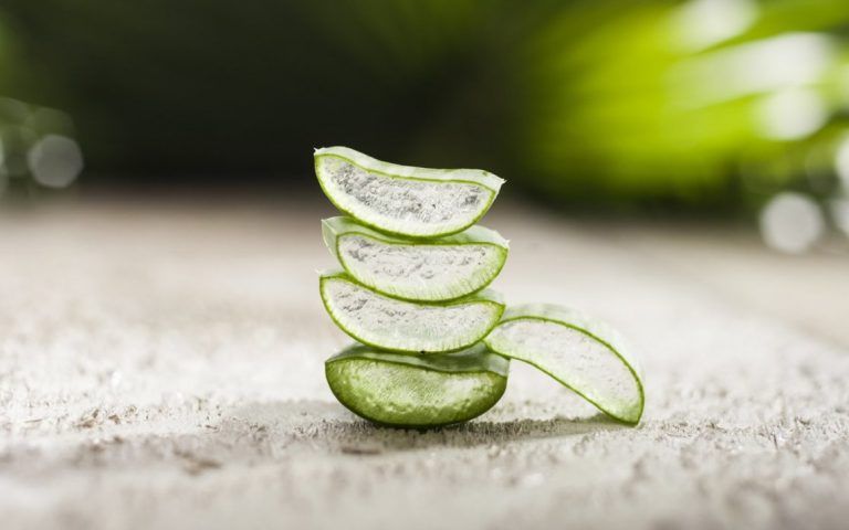 usos frecuentes del aloe vera