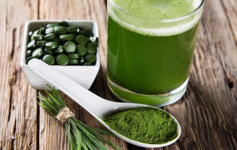 Alga de espirulina