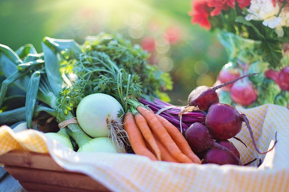 dieta vegetal