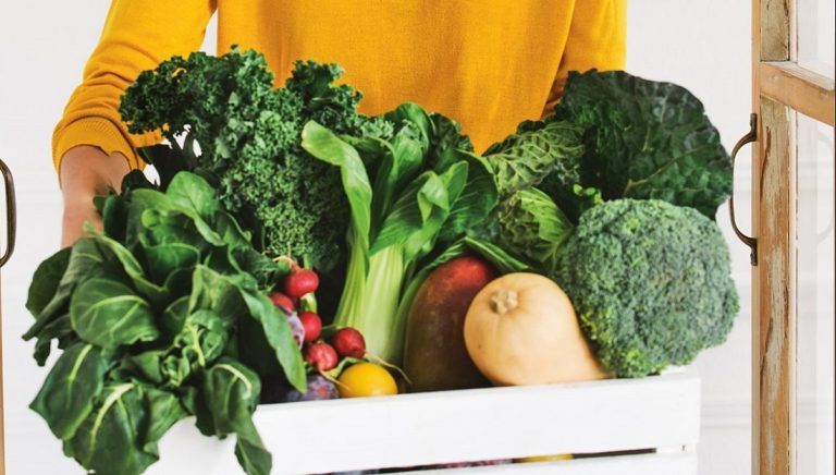 Consumir solo alimentos vegetales
