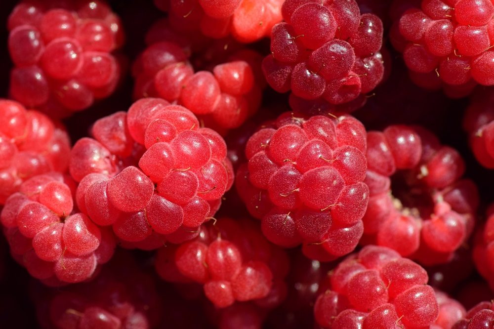 Las frambuesas son ricas en antioxidantes