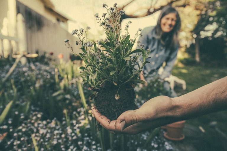 Llevar una vida más ecológica