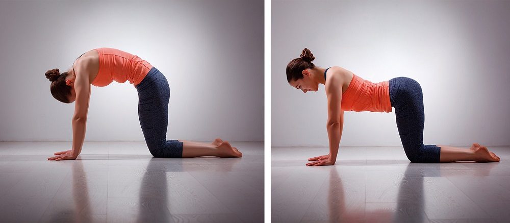 postura de yoga gato - vaca, una de las asanas sencillas
