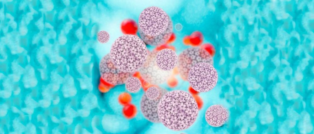 virus del papiloma humano o vph