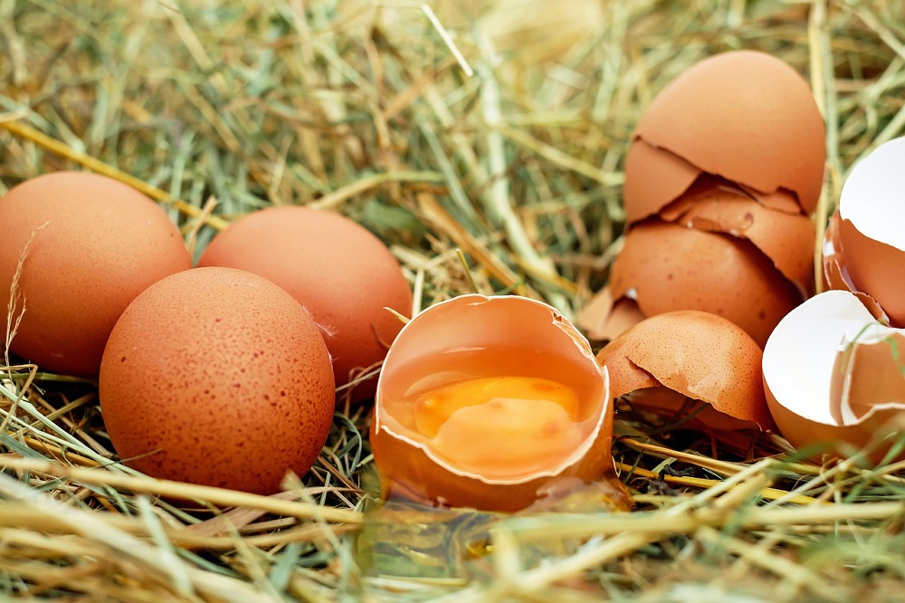 Los huevos crudos pueden tener salmonella
