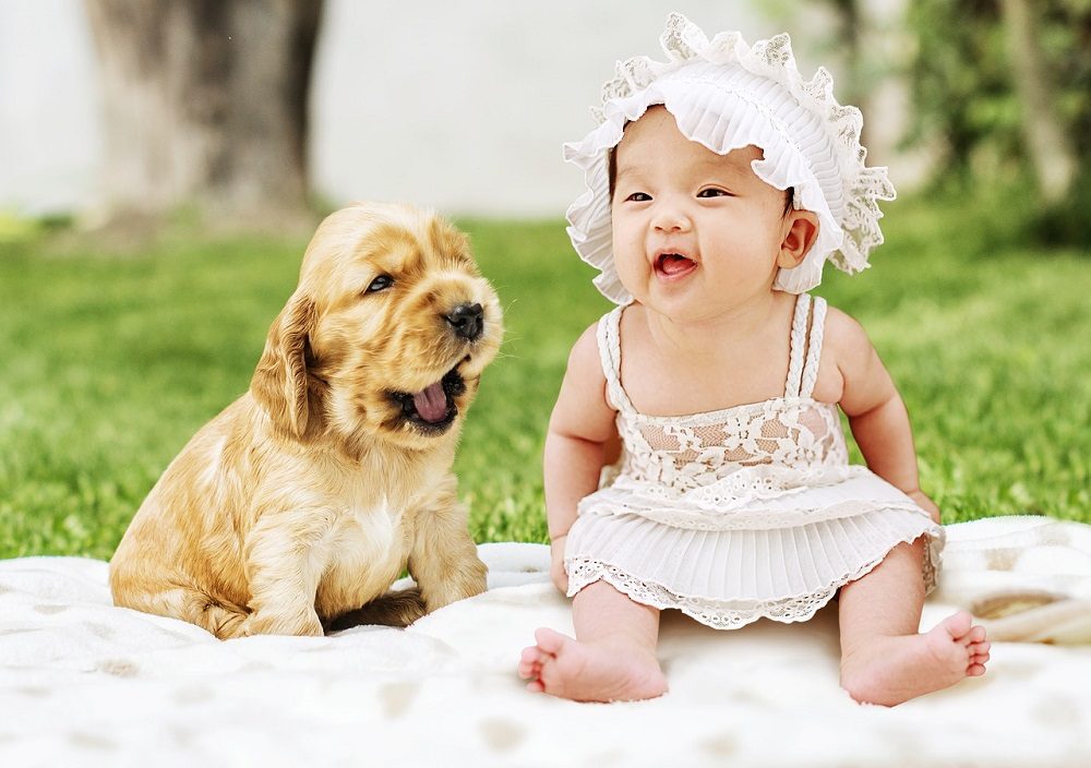 Conseguir que una mascota no sienta celos de un bebé