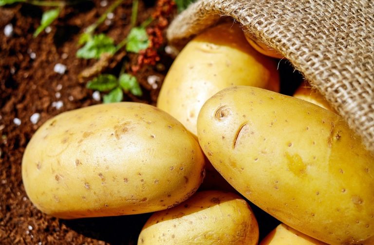 alimentos que no se deben comer crudos