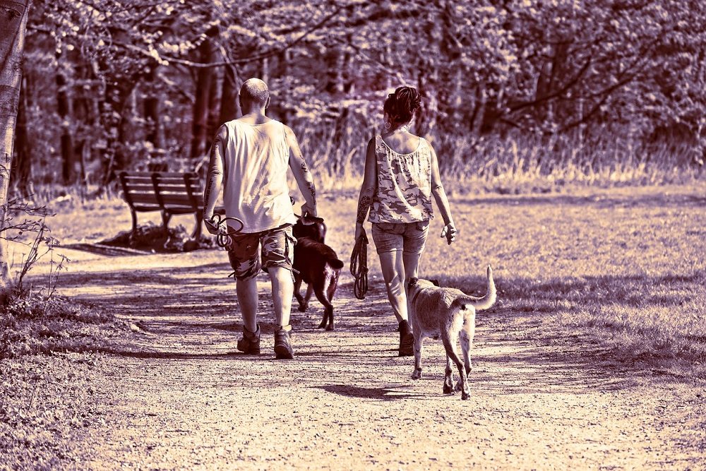 Paseando al perro se puede ligar