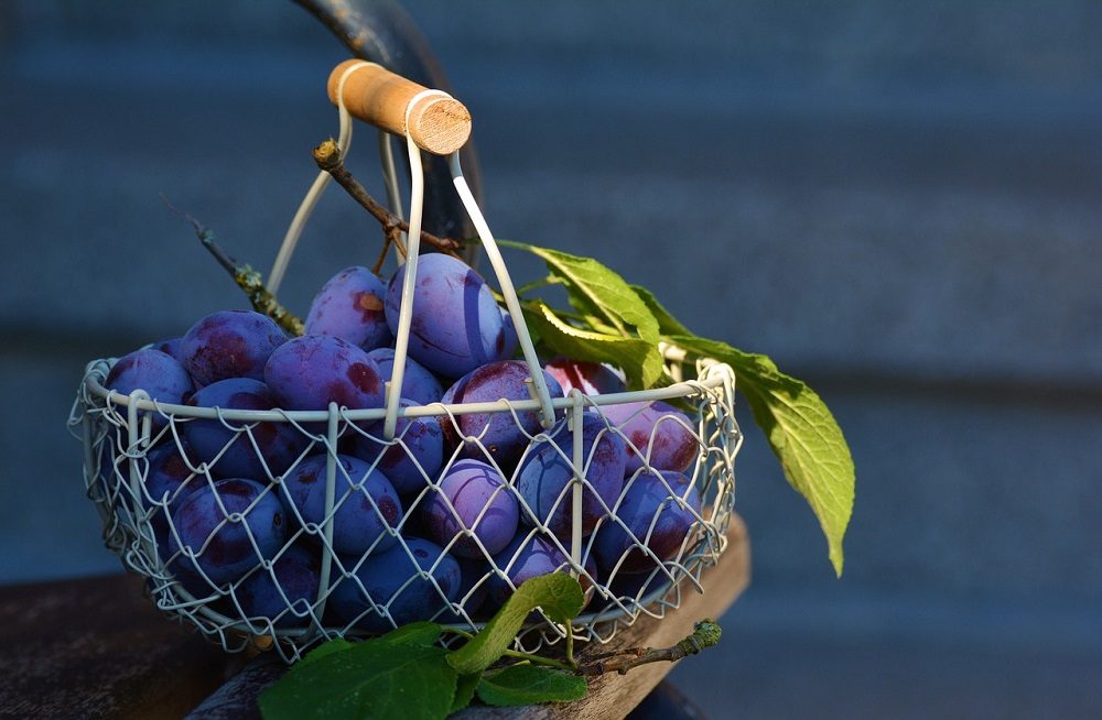 Alguna frutas como las ciruelas producen gases