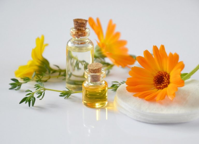Qué es la calendula