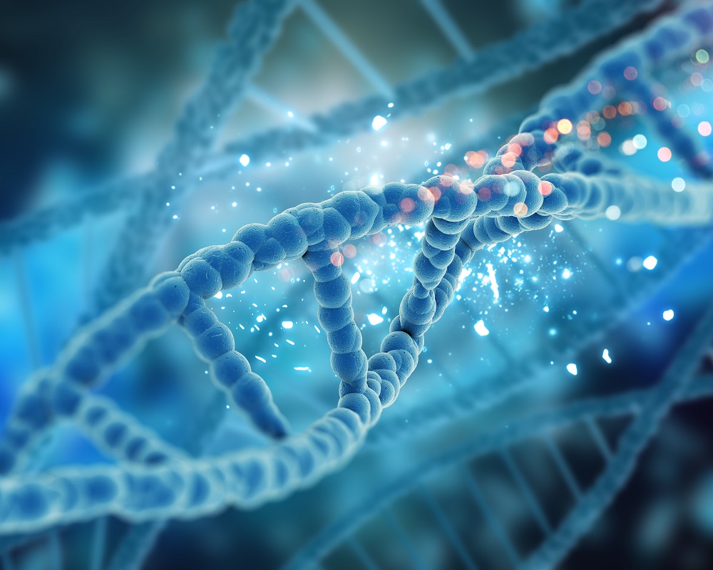 Células del bebé en el cuerpo de la madre