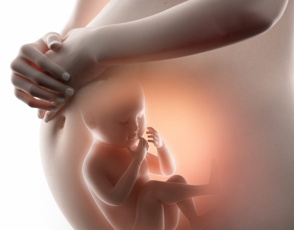 Efectos positivos del microquimerismo fetal