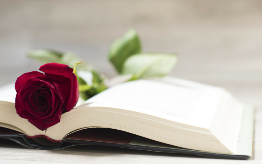 rosas de sant jordi