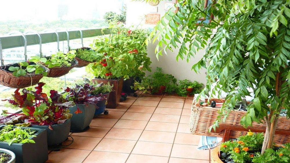 jardín en una terraza