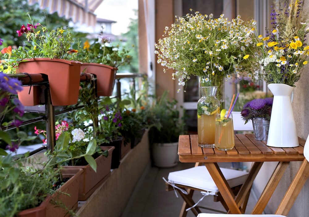 terraza con plantas