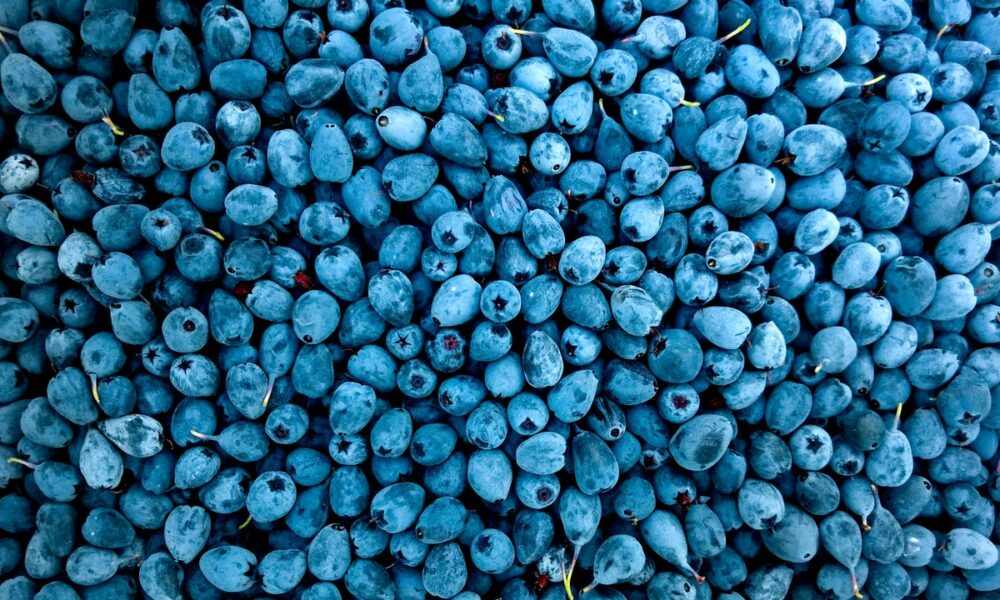 Estos son los alimentos que reducen la tensión o presión arterial