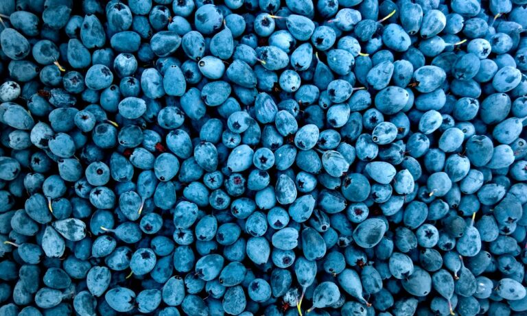 Estos son los alimentos que reducen la tensión o presión arterial