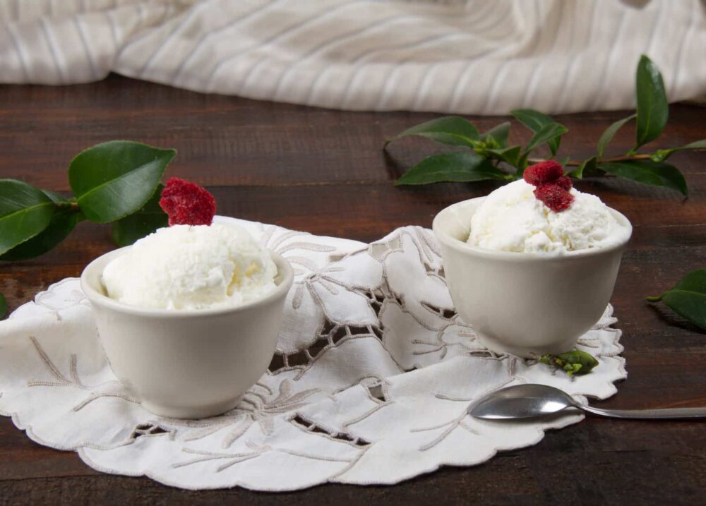 recetas de helado saludable
