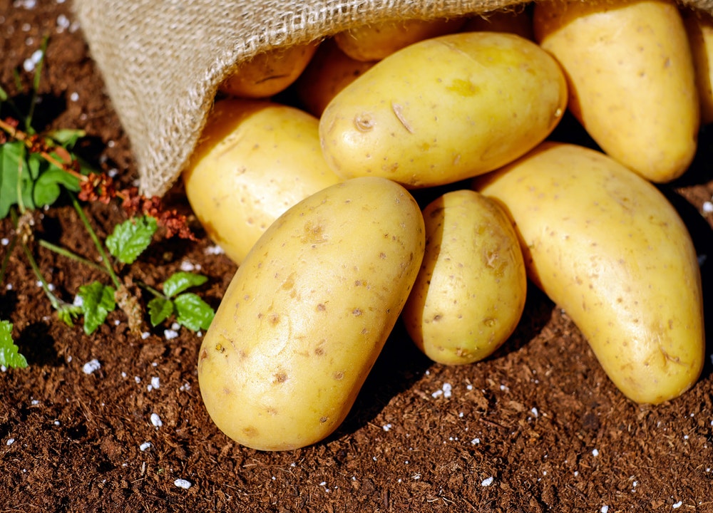Las patatas y legumbres son carbohidratos buenos para el cuerpo