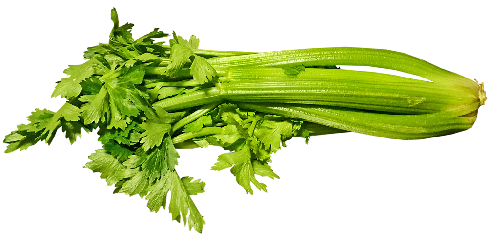 Apio otra de las verduras que no pueden faltar en la dieta de tus hijos