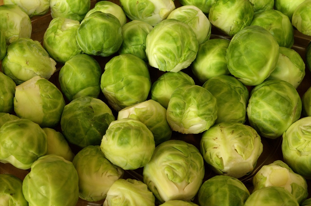 Coles de Bruselas, una de las verduras que no pueden faltar en la dieta de tus hijos
