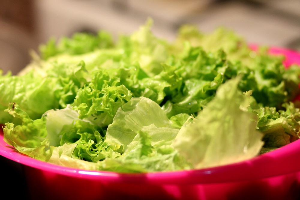 Lechuga. una de las verduras que no pueden faltar en la dieta de tus hijos