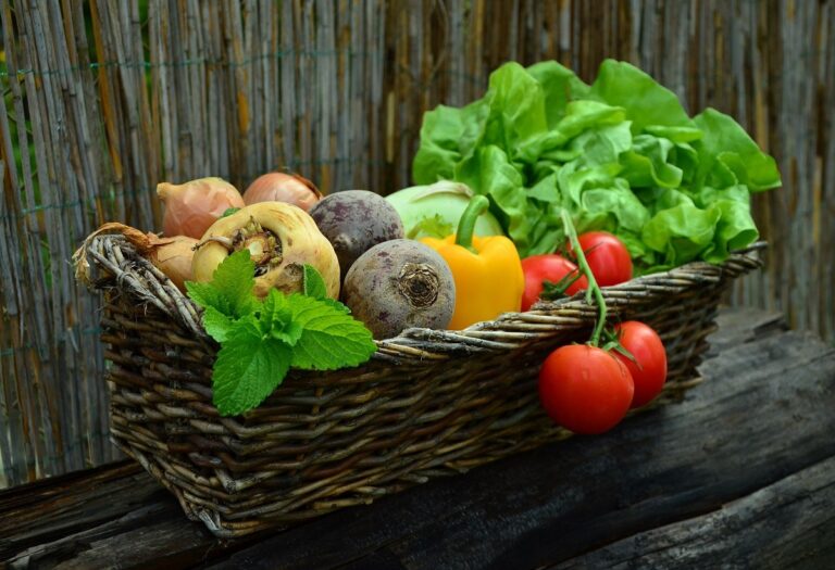 Verduras que nunca deben faltar en la dieta de tus hijos
