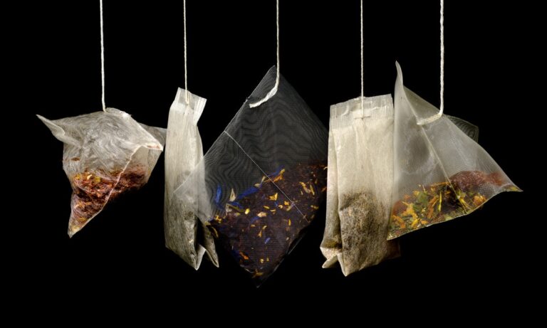 Descubre los tipos de té y sus beneficios