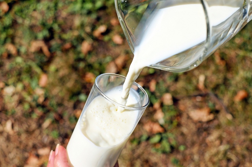 Leche, uno de los Alimentos para tomar antes de entrenar