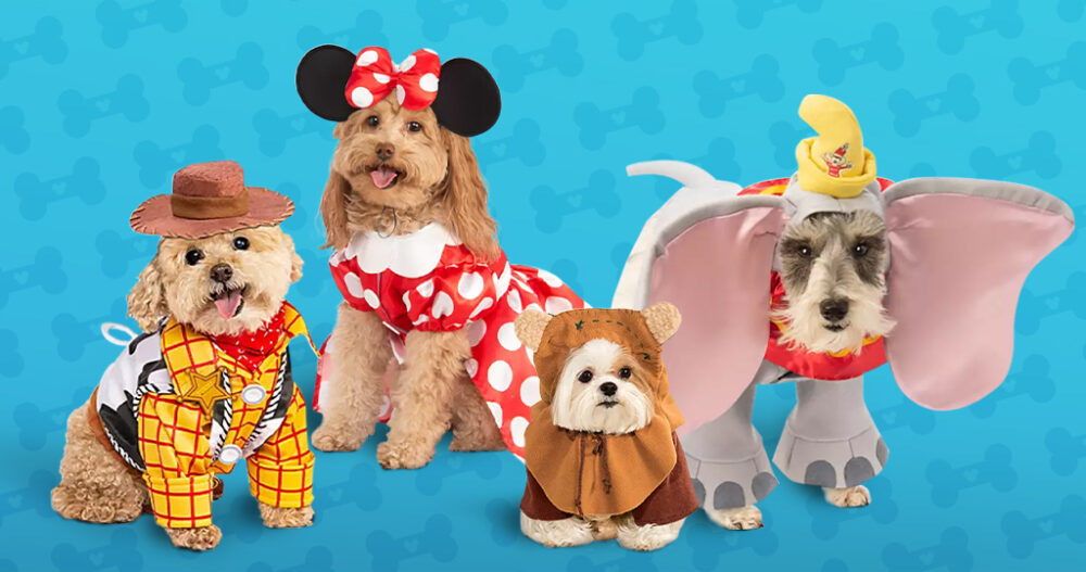 accesorios para mascotas de Primark