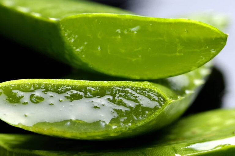 Beneficios del aloe vera para el rostro