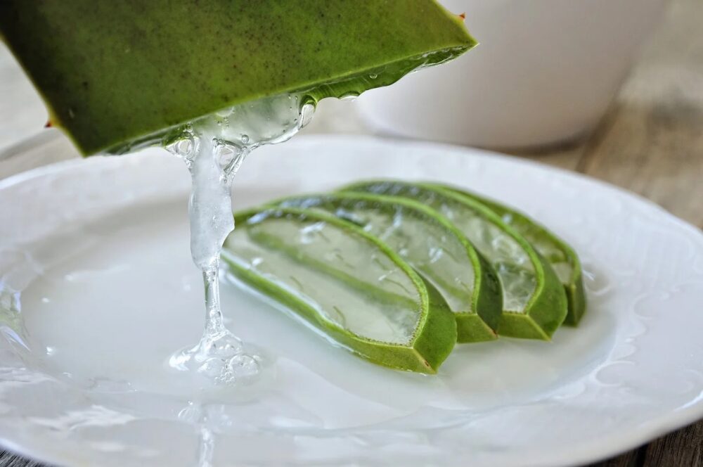 beneficios del aloe vera para el cuerpo