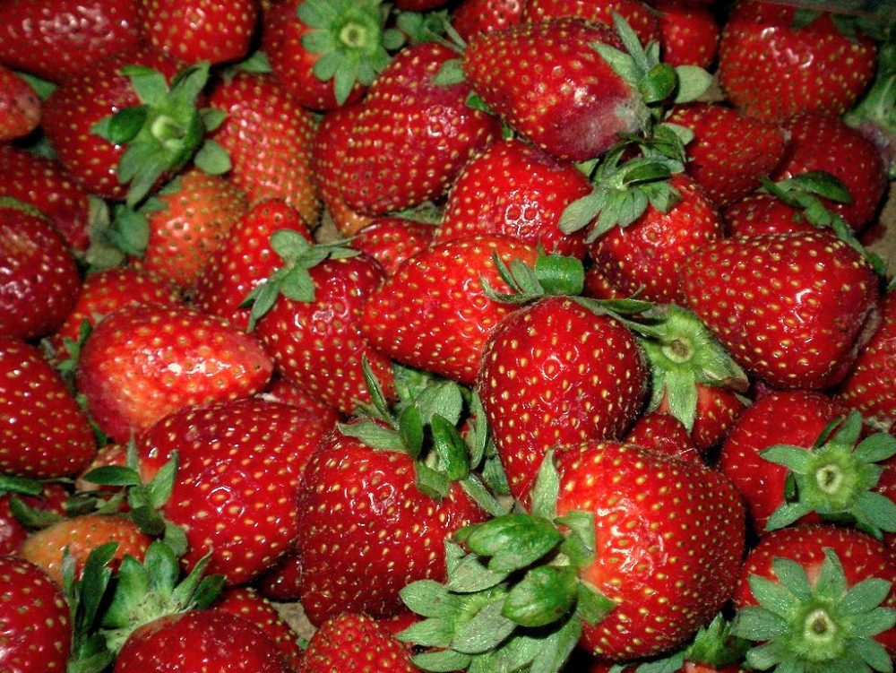Beneficios de la fresa
