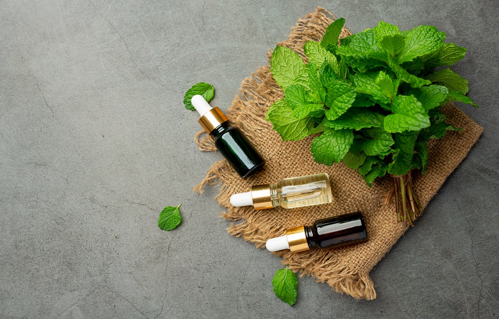 Propiedades de la menta es sus aceites esenciales