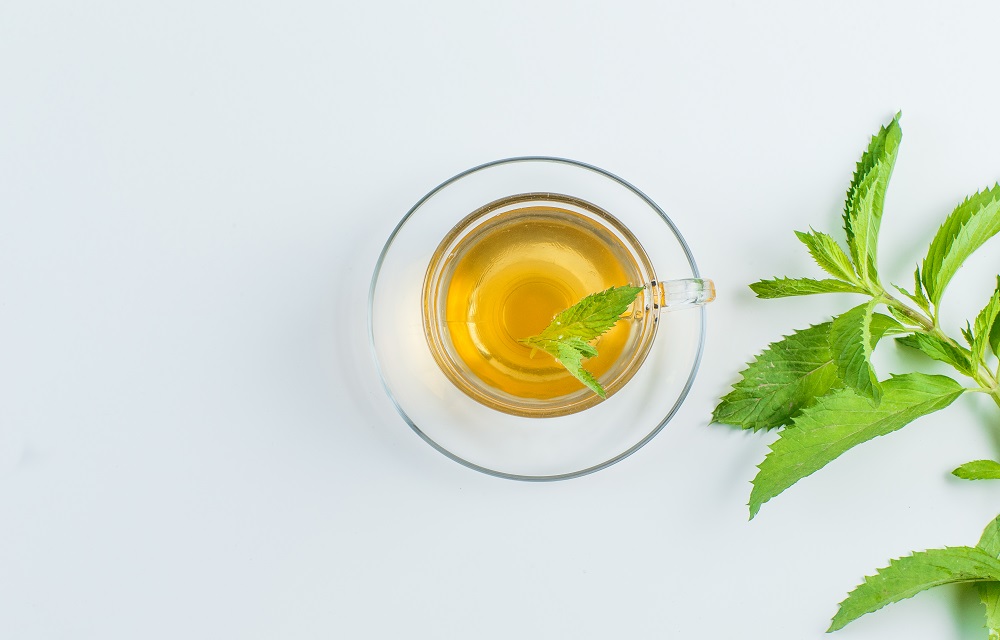 propiedades de la menta en infusión
