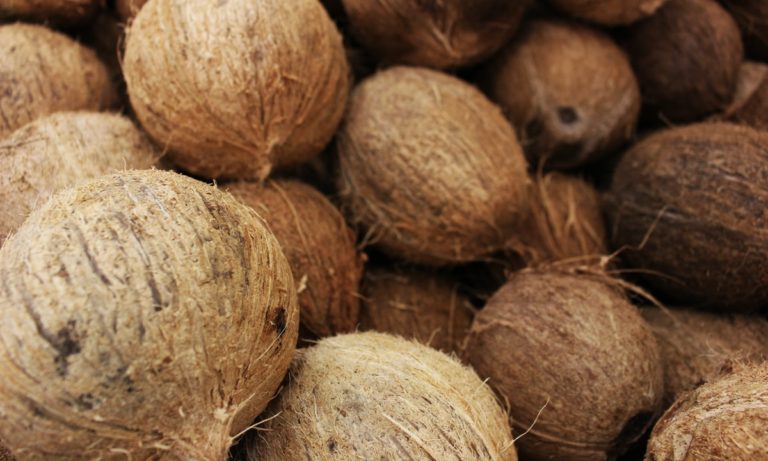 leche de coco propiedades