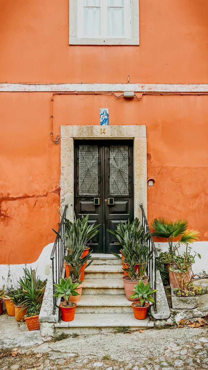 black door to orange building and steps lined with potted plants