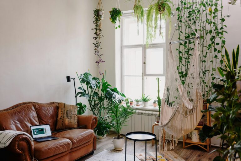 plantas de interior